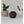 Water Flow Vase, stor, Light Brown