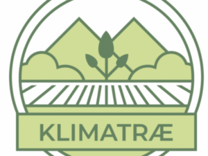 Klimatræ